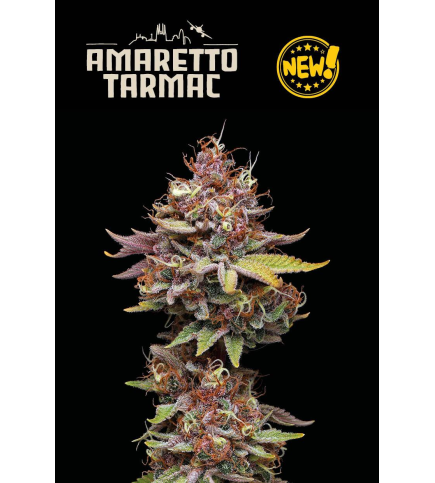 Amaretto Tarmac© Fem