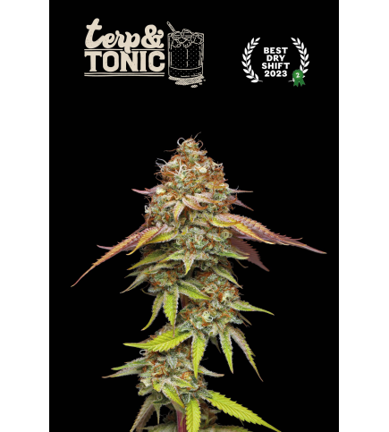 Terp & Tonic© Fem